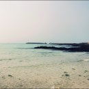 푸른가든민박 이미지