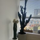 발산정형외과의원 이미지