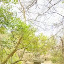 돌하르방미술관 이미지