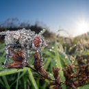 2025년 제12회 BigPicture, 자연 세계 사진 대회 우승자들과 작품 이미지