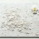 솔비호프 이미지