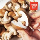 태석농장 이미지