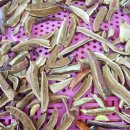 영지민박 이미지