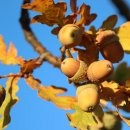 도화모텔 이미지