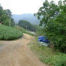 비수구미민박 이미지