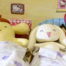 스텀프 네이버블로그