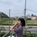 강릉여행, 스파펜션 &lt;S9&gt; 숙소 후기
