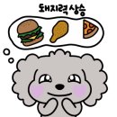 여리네닭갈비 이미지