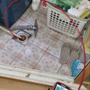 기름이 맑은세탁 이미지