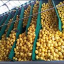 밀알농원 이미지