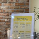 퍼피돌 | 삼송 원흥 애견미용실 퍼피돌, 말티즈 가위컷 안전하게 잘하는 곳