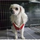 영도동물병원 이미지