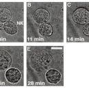 케이메딕스 이미지