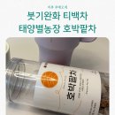 태양별농장 붓기완화 티백차 호박팥차 커피 대용 추천