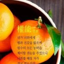 풍요의 바람 이미지