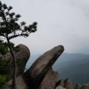 백운탕 이미지
