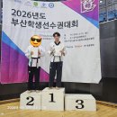 성남초등학교 옆 네이버블로그