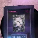 창공농장 | [#28] 지구별방탈출 홍대라스트시티점 ‘멸종위기종 탐사대’ 풀꽃길 후기