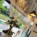 미미헤어살롱 이미지