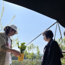 기린농장 이미지