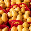 성주농협주유소 이미지