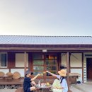 영희커텐 | 서울근교 촌캉스 포천 영희네 집 내돈내산 후기 재방문 비추천