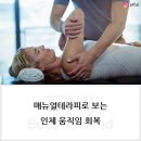 더매뉴얼