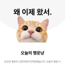 웰시커피