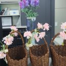 설악호텔 미송 이미지