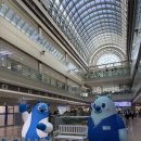 이원다이애그노믹스(주) (EDGC) | 니프티 검사 30만원대 일산병원 후기 비용 결과까지 솔직 정리