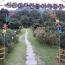 시리미로 이미지