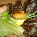 홍미식당 이미지