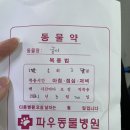 파우동물병원 이미지