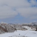 초원의 언덕 이미지