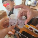 제주 월정리 해수욕장 해물 칼국수 [월정항아리] 싱싱한 해물이 푸짐하게!