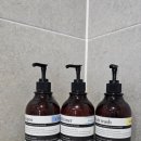 바닷가 하얀목화밭 이미지