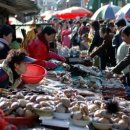 요기사이소 이미지