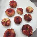 납작복숭아 정품 로얄과 최저가 공구 이미지