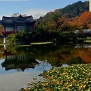 두류공원 이미지