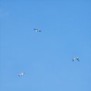 고성생선찜 이미지