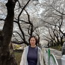 해피바스데이 이미지