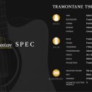 통기타(입문A) 이미지