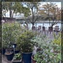 광장동 가온 이미지