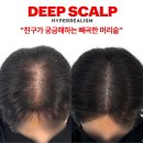 하이스칼프 | 대구두피문신후기 좋은곳이 궁금하다면? 찐후기만 모아봤습니다_딥스칼프 대구본점