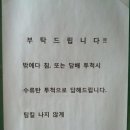 네티즌PC방 이미지