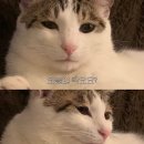 씨제이올리브영(주) 광명철산점 | [일상로그#4] 갓생과 먹생 사이 어딘가에 있는 8월 일상