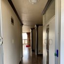 서성파라토피아 이미지