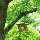 하이디하우스 이미지