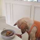 큣페이스 이미지