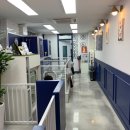 올리스 펫 쌀롱 이미지